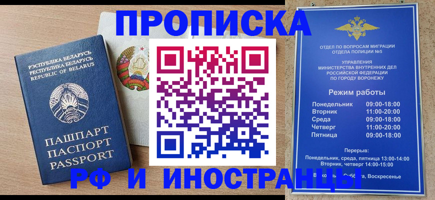 пропишу в квартире в Чистополье
